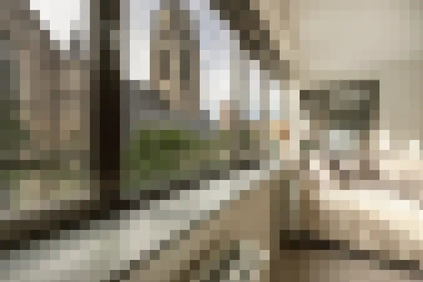 Binnenrotte 289 Rotterdam thumbnail 7