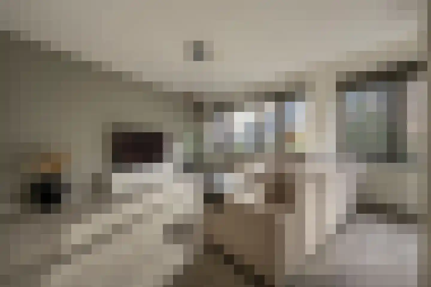 Binnenrotte 289 Rotterdam thumbnail 9