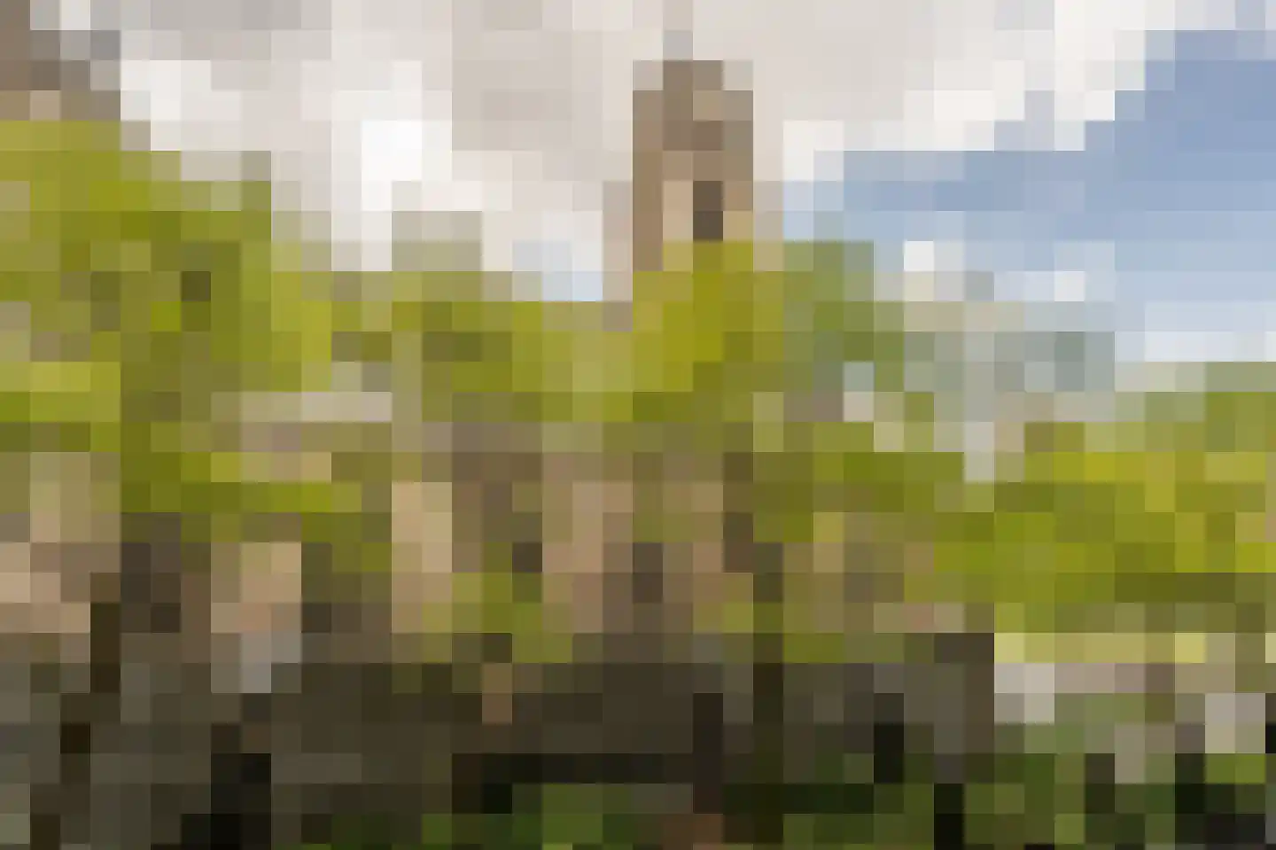 Binnenrotte 333 Rotterdam thumbnail 12