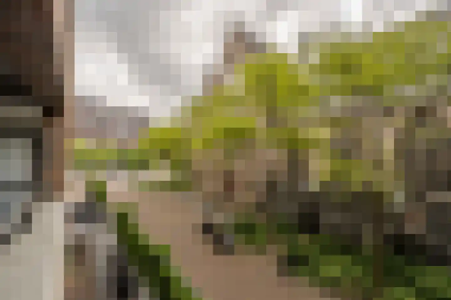Binnenrotte 333 Rotterdam thumbnail 13