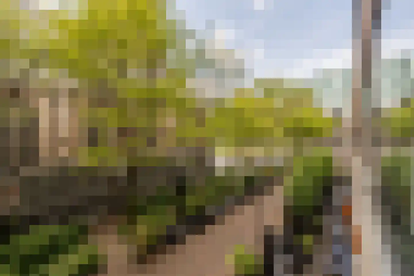 Binnenrotte 333 Rotterdam thumbnail 14