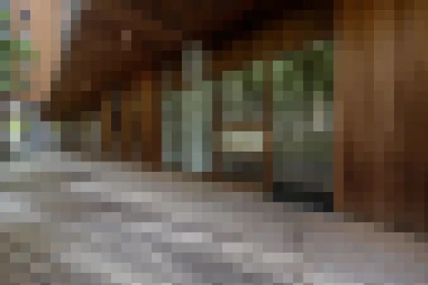 Binnenrotte 333 Rotterdam thumbnail 30