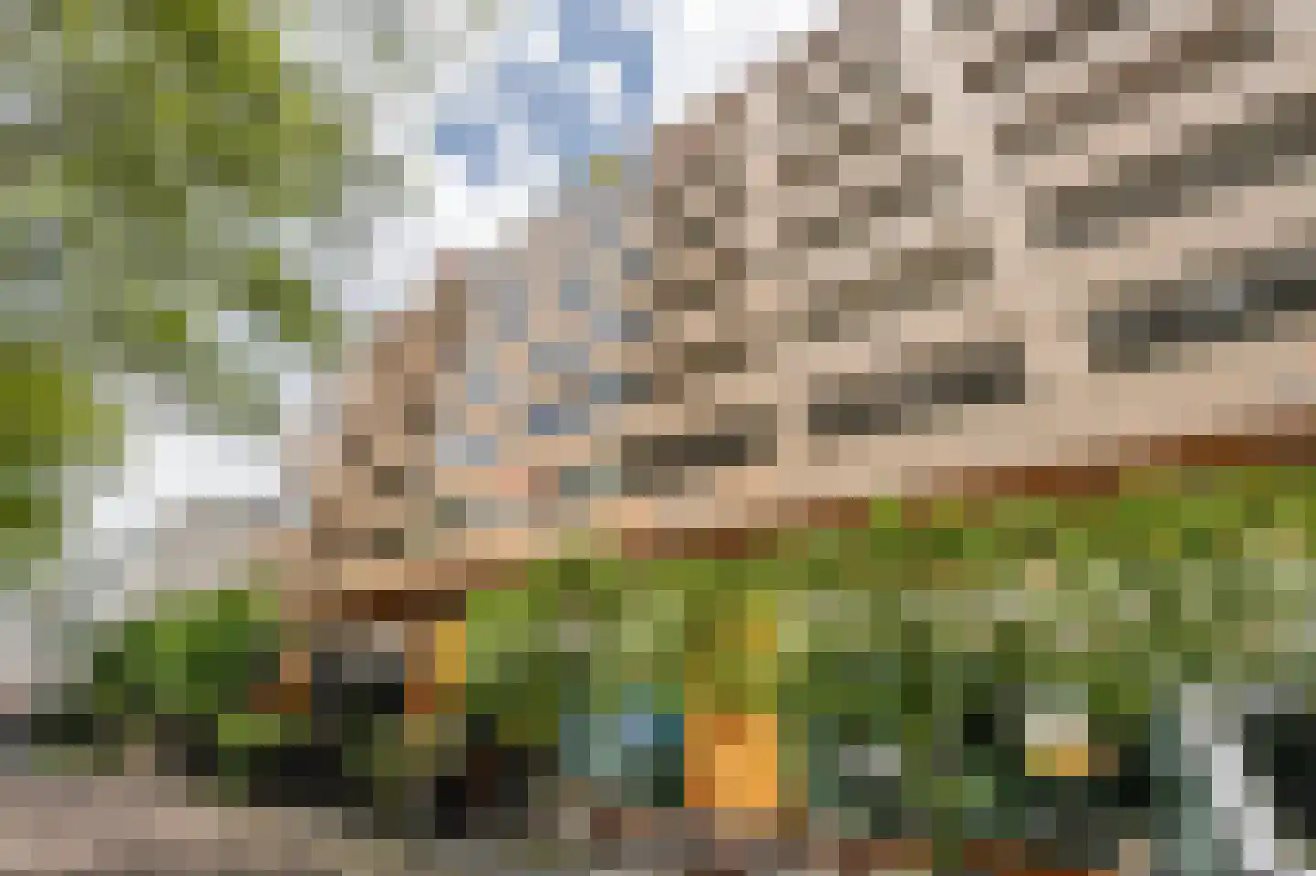 Binnenrotte 333 Rotterdam thumbnail 33