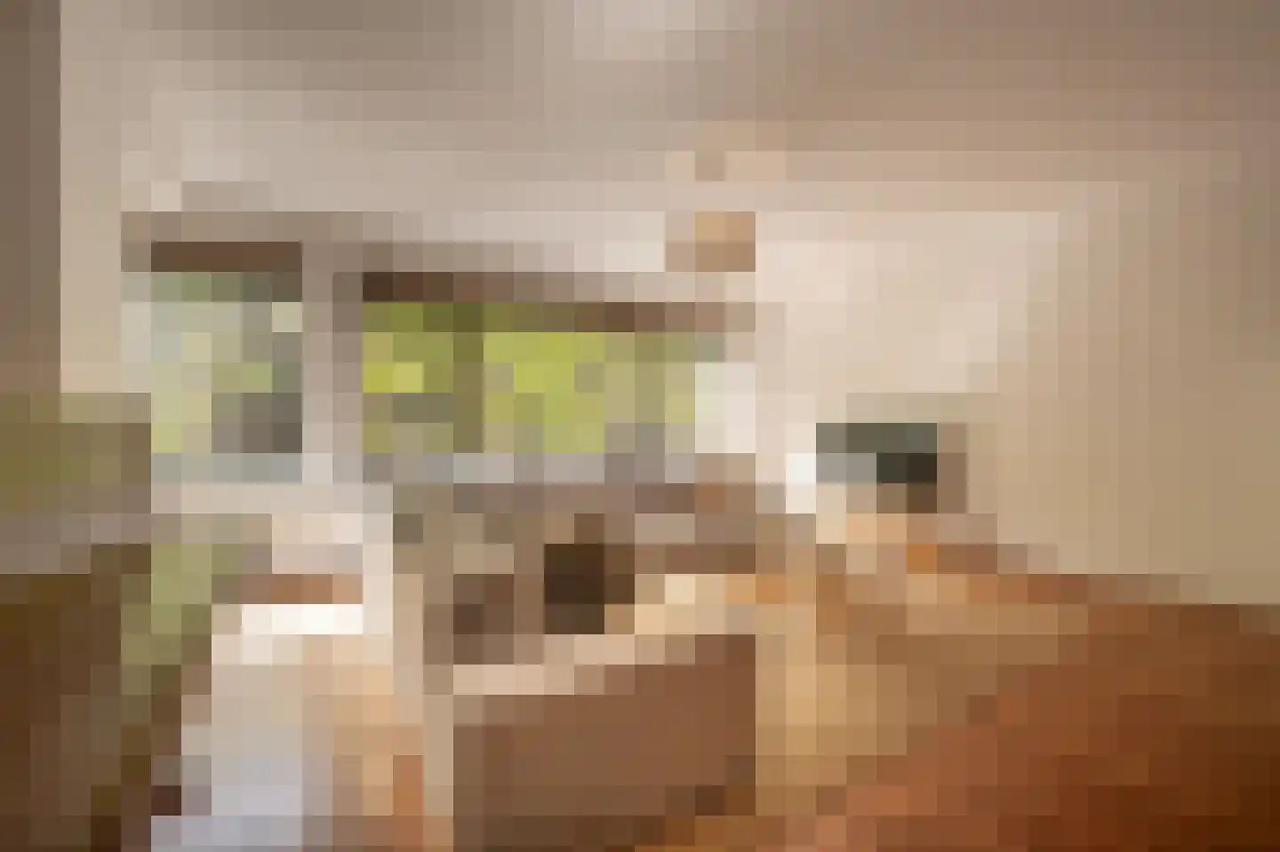 Binnenrotte 333 Rotterdam thumbnail 5