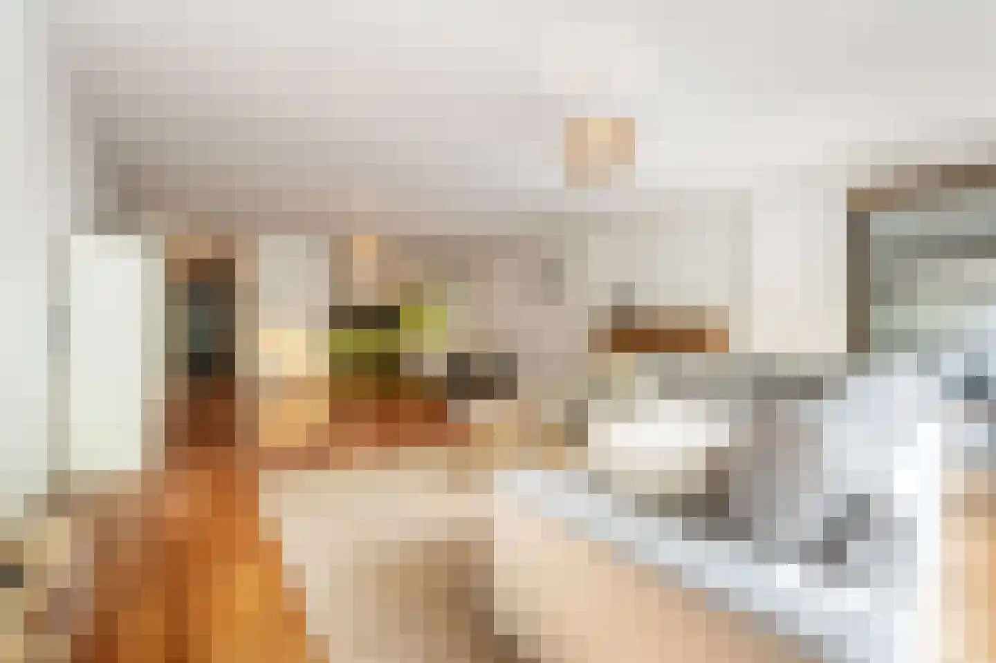 Binnenrotte 333 Rotterdam thumbnail 7