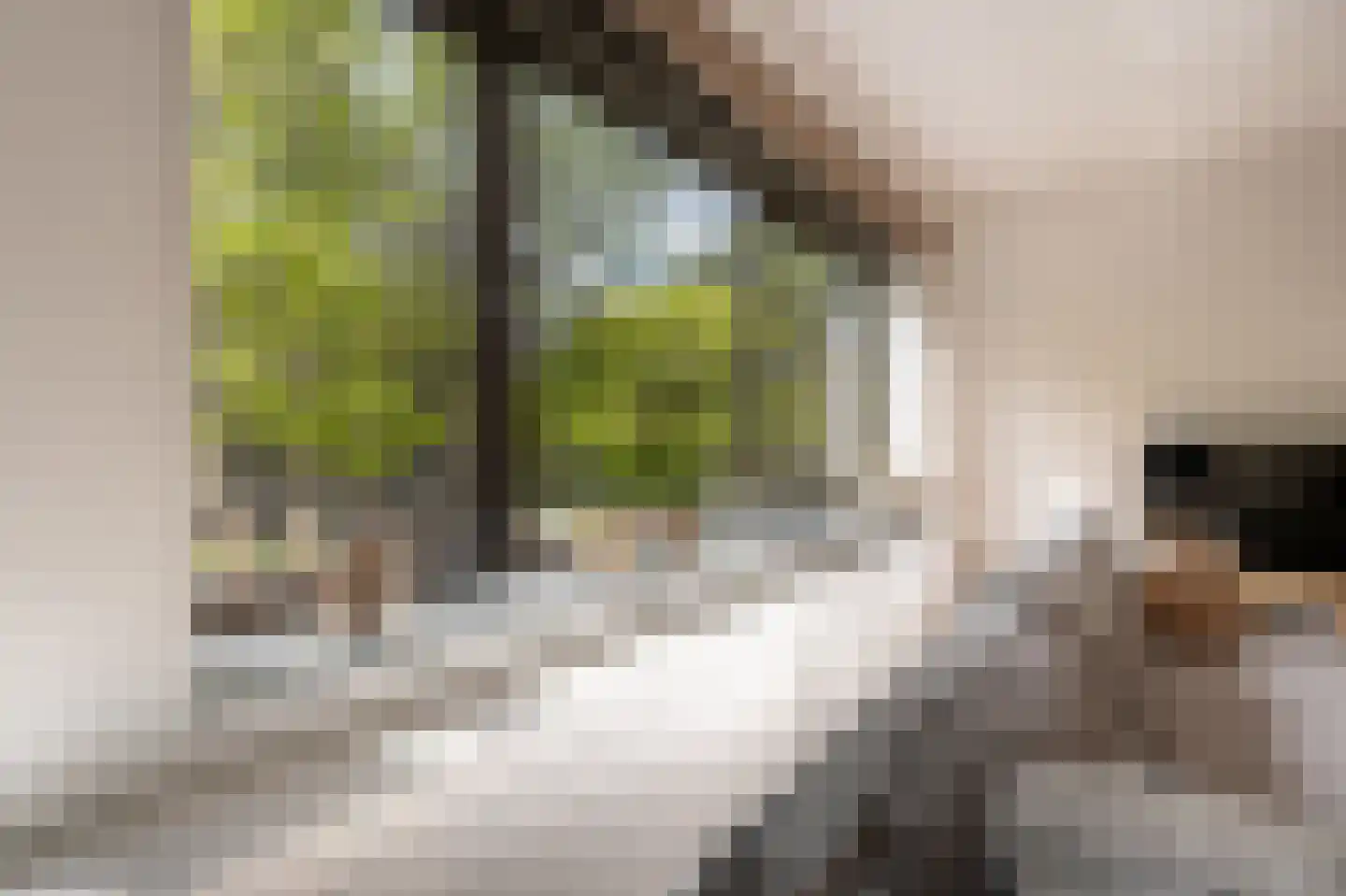 Binnenrotte 333 Rotterdam thumbnail 9