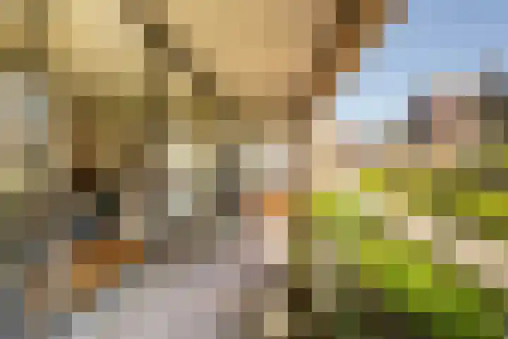 Binnenrotte 361 Rotterdam thumbnail 15