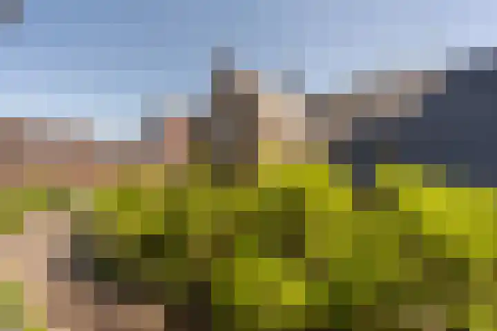 Binnenrotte 361 Rotterdam thumbnail 16