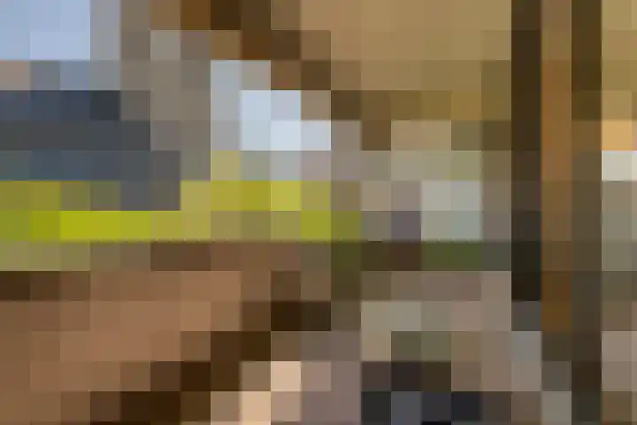 Binnenrotte 361 Rotterdam thumbnail 17