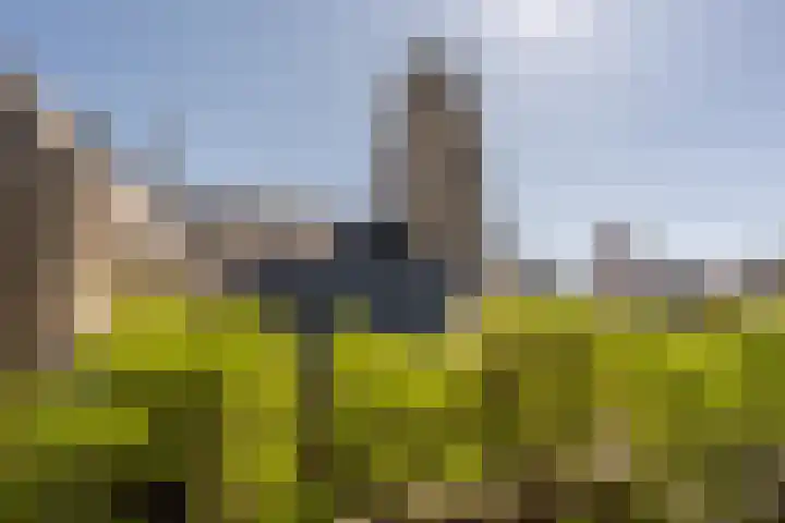Binnenrotte 361 Rotterdam thumbnail 18