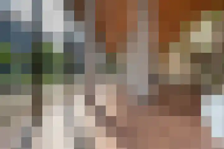 Binnenrotte 361 Rotterdam thumbnail 32