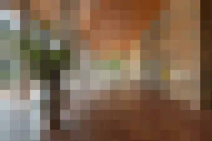 Binnenrotte 361 Rotterdam thumbnail 33