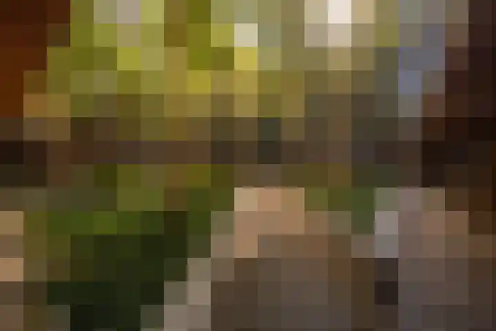 Binnenrotte 361 Rotterdam thumbnail 34