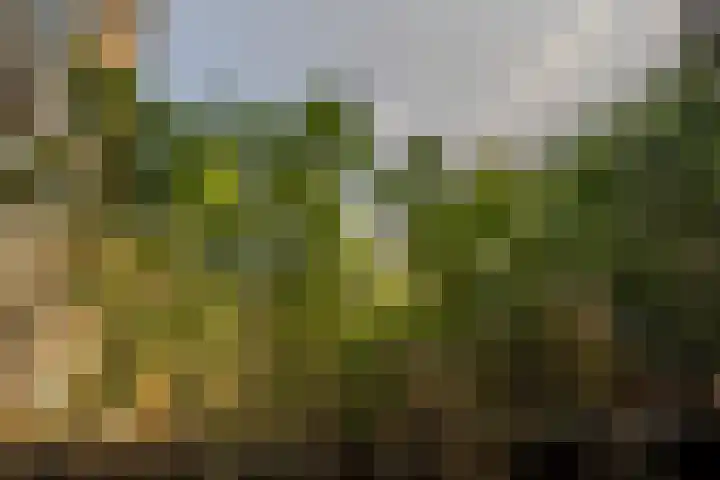 Binnenrotte 361 Rotterdam thumbnail 35