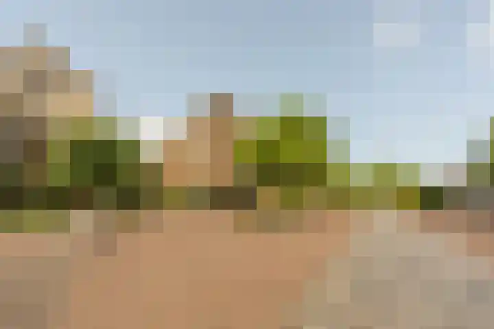 Binnenrotte 361 Rotterdam thumbnail 4