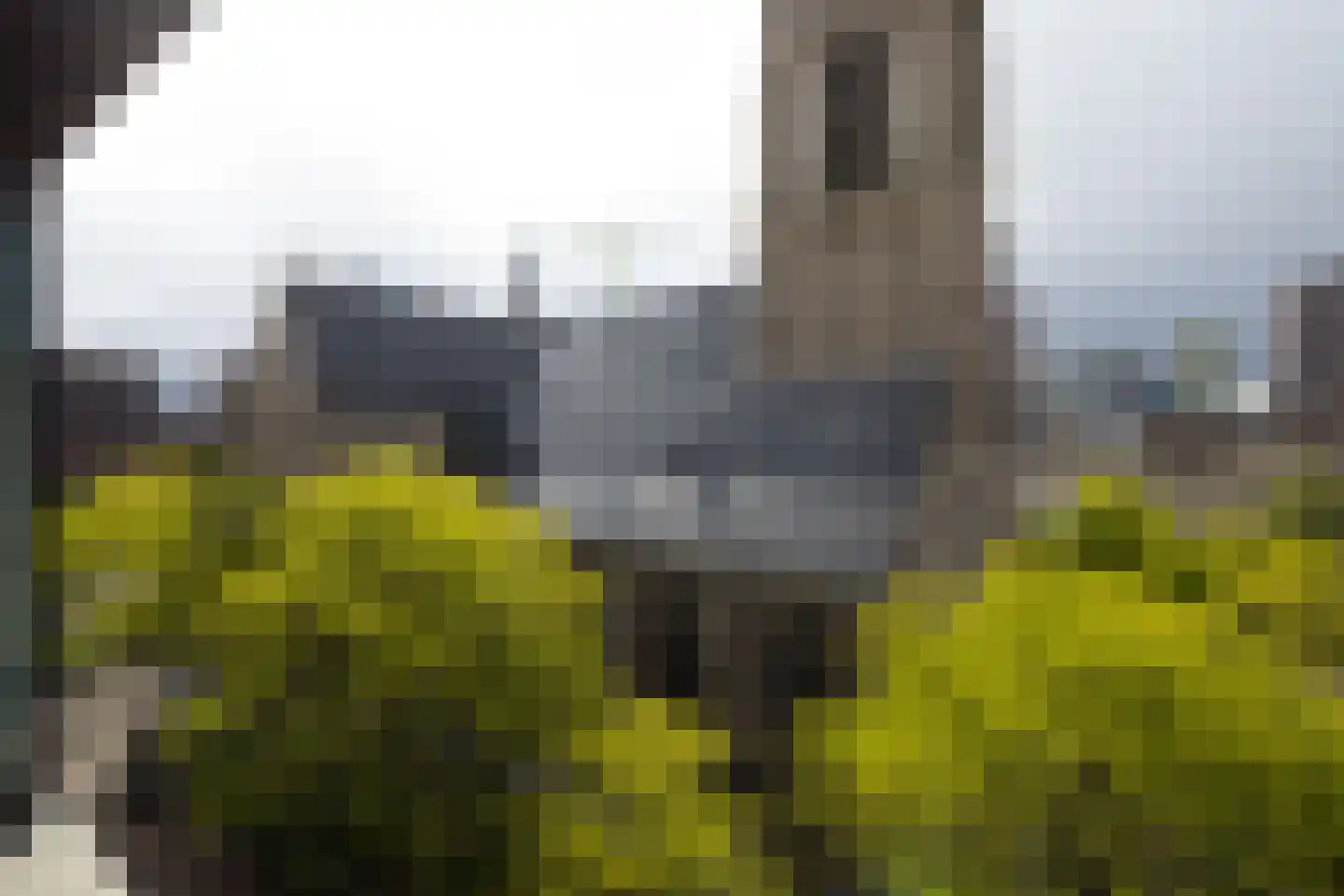 Binnenrotte 379 Rotterdam thumbnail 10