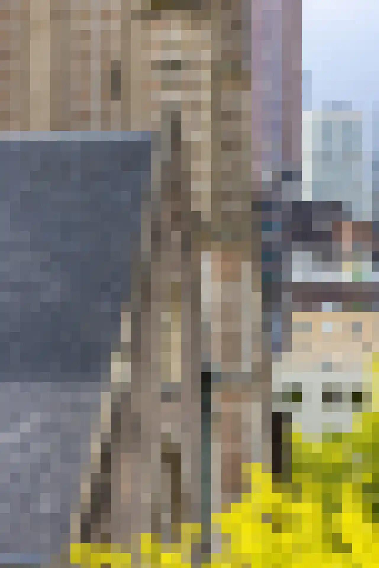 Binnenrotte 379 Rotterdam thumbnail 11