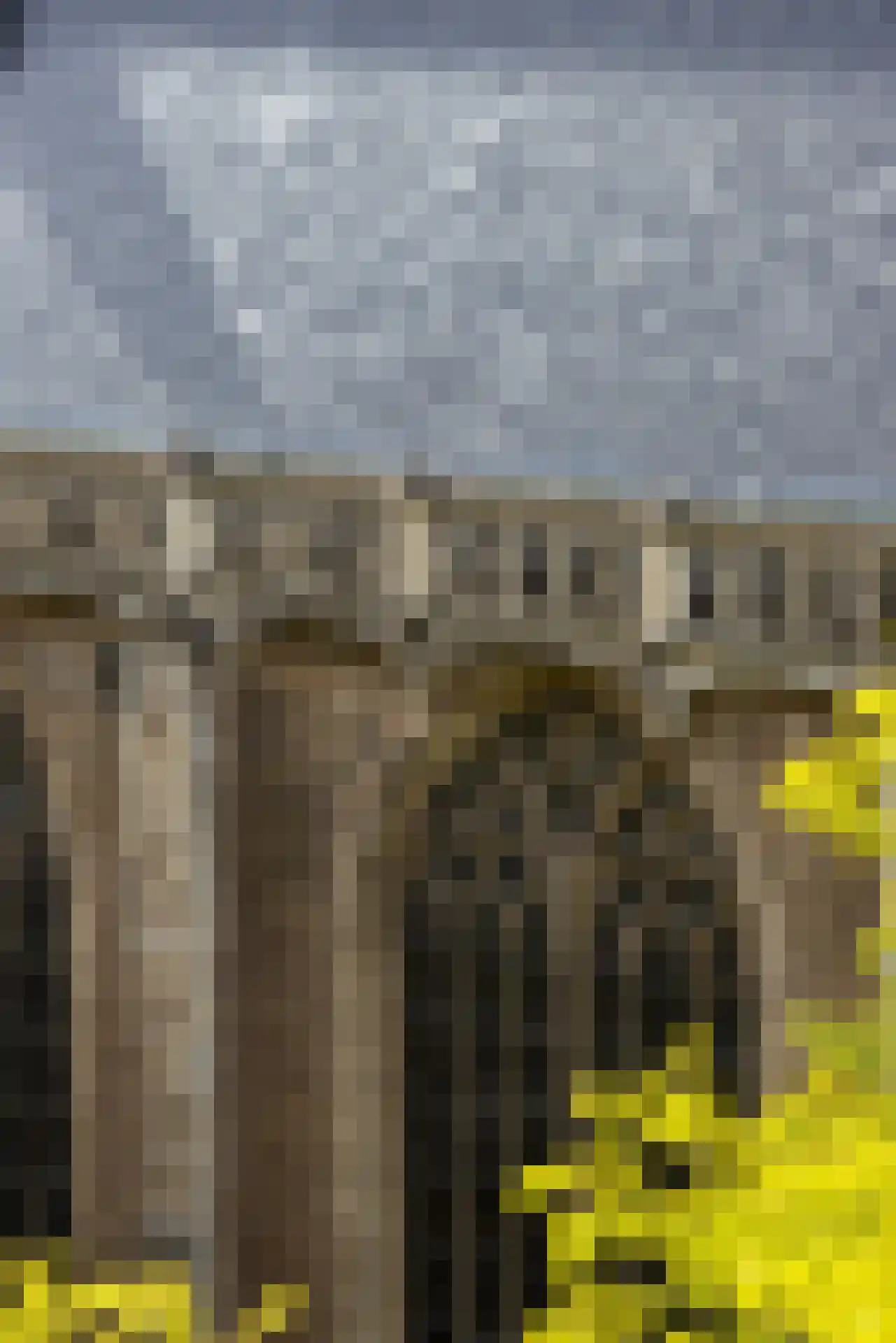 Binnenrotte 379 Rotterdam thumbnail 12