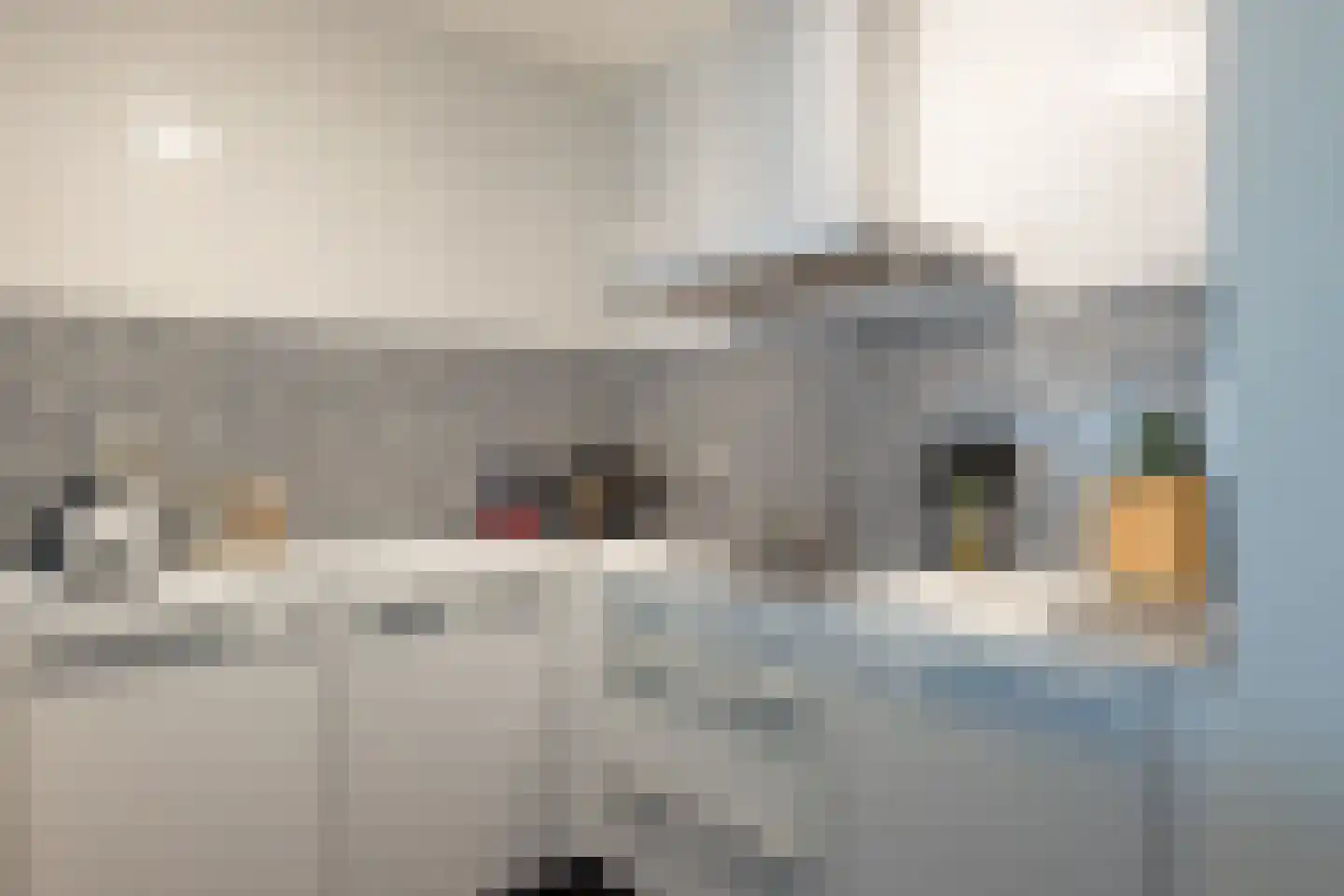 Binnenrotte 379 Rotterdam thumbnail 13