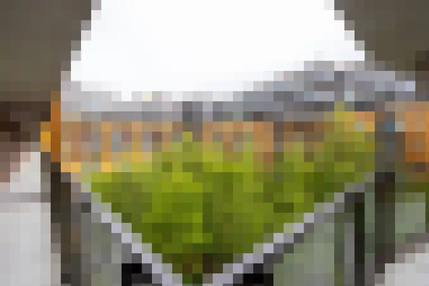 Binnenrotte 379 Rotterdam thumbnail 30