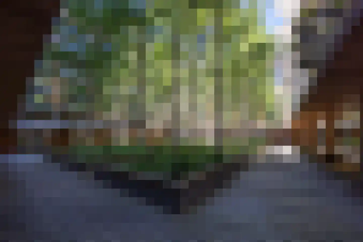 Binnenrotte 379 Rotterdam thumbnail 31