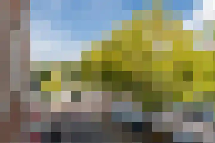 Binnenrotte 77 B Rotterdam thumbnail 10