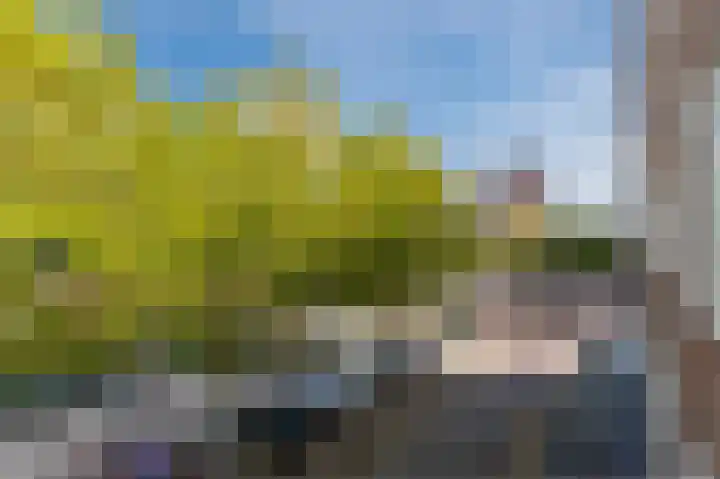 Binnenrotte 77 B Rotterdam thumbnail 11