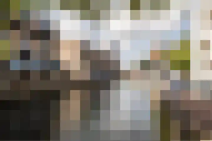 Binnenrotte 77 B Rotterdam thumbnail 34