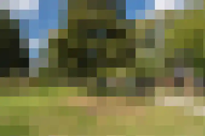Binnenrotte 77 B Rotterdam thumbnail 35