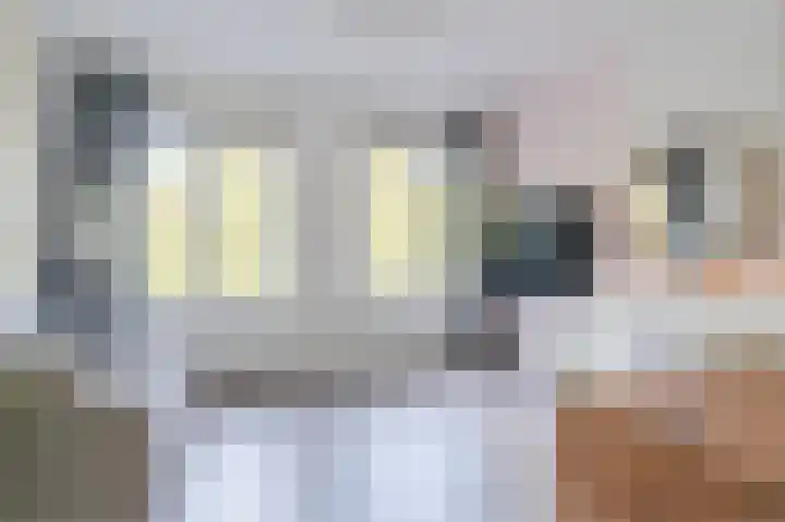 Binnenrotte 77 B Rotterdam thumbnail 8