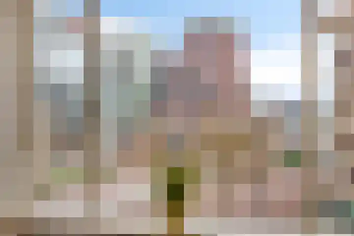 Binnenrotte 81 D Rotterdam thumbnail 28