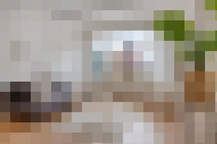 Binnenrotte 81 D Rotterdam thumbnail 7