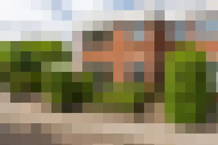 Binnensingel 1 Strijen