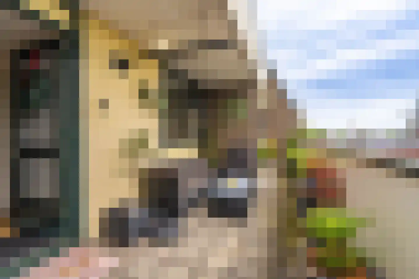 Binnensingel 11 Delfzijl thumbnail 15