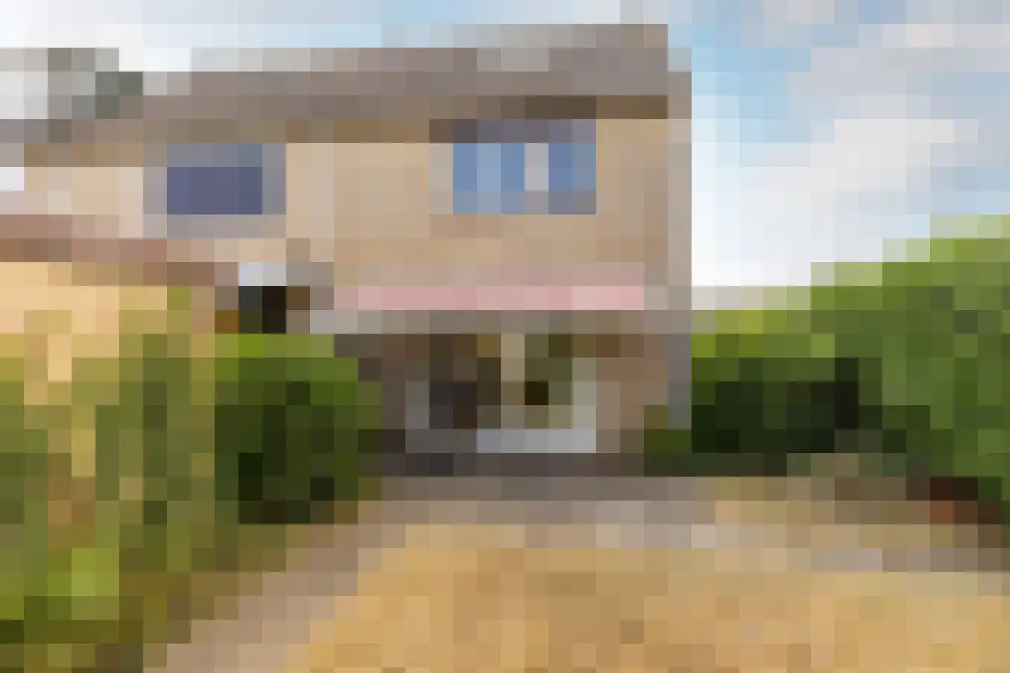 Binnensingel 11 Strijen thumbnail 28
