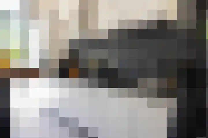 Binnensingel 118 Vlaardingen thumbnail 15