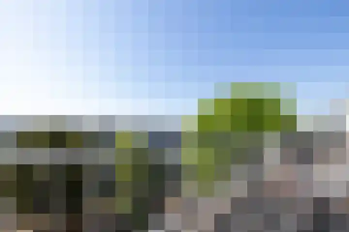 Binnensingel 118 Vlaardingen thumbnail 26
