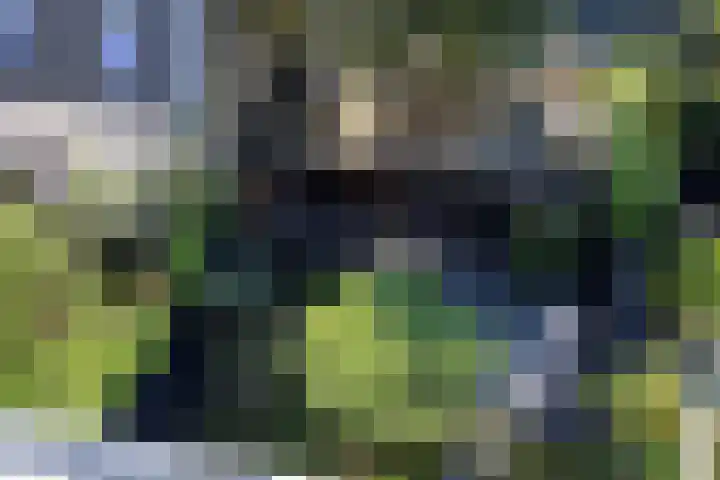 Binnensingel 118 Vlaardingen thumbnail 27