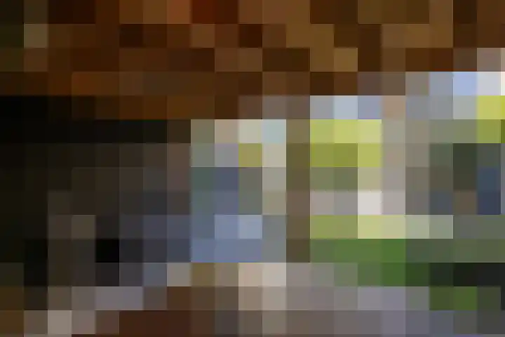 Binnensingel 118 Vlaardingen thumbnail 33