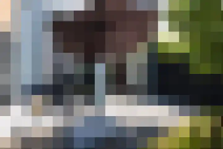 Binnensingel 118 Vlaardingen thumbnail 35