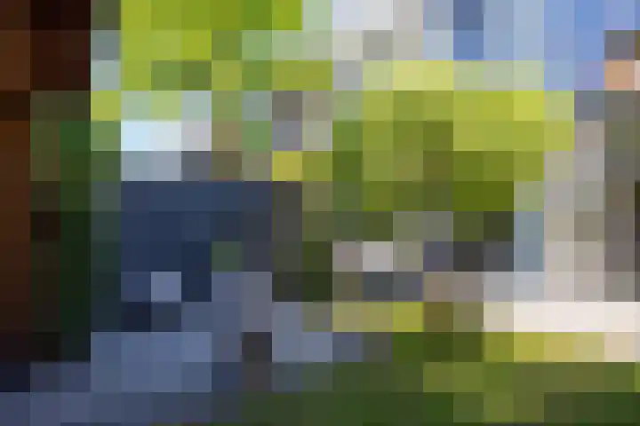 Binnensingel 118 Vlaardingen thumbnail 4