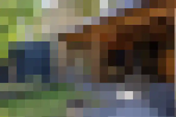 Binnensingel 118 Vlaardingen thumbnail 5