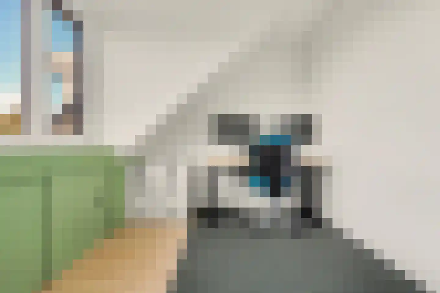 Binnensingel 17 Strijen thumbnail 31