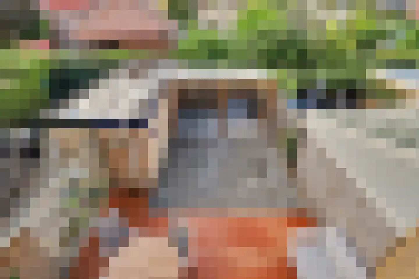 Binnensingel 17 Strijen thumbnail 32