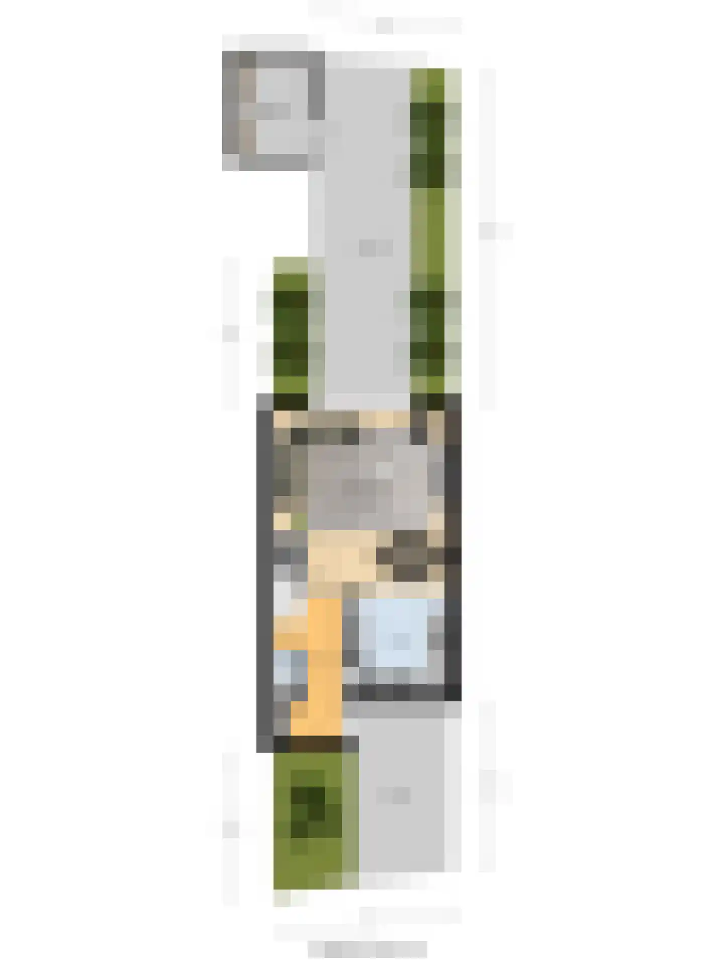 Binnensingel 17 Strijen thumbnail 47