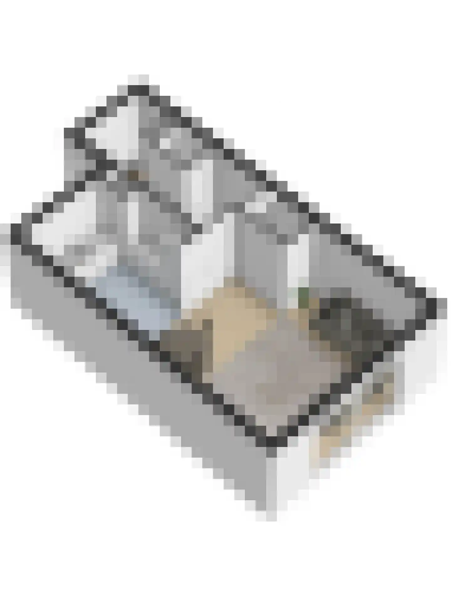 Binnensingel 17 Strijen thumbnail 48