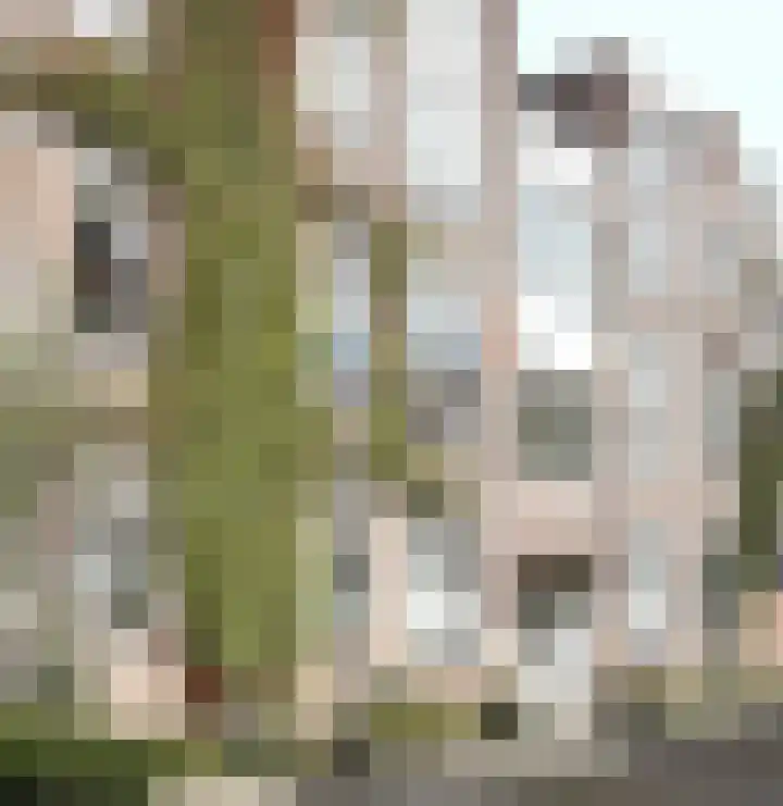 Binnensingel 31 Deventer thumbnail 25