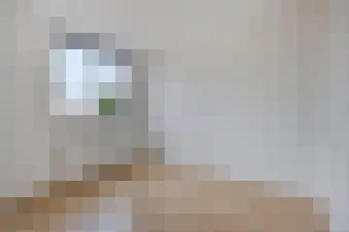 Binnensingel 34 Strijen thumbnail 27