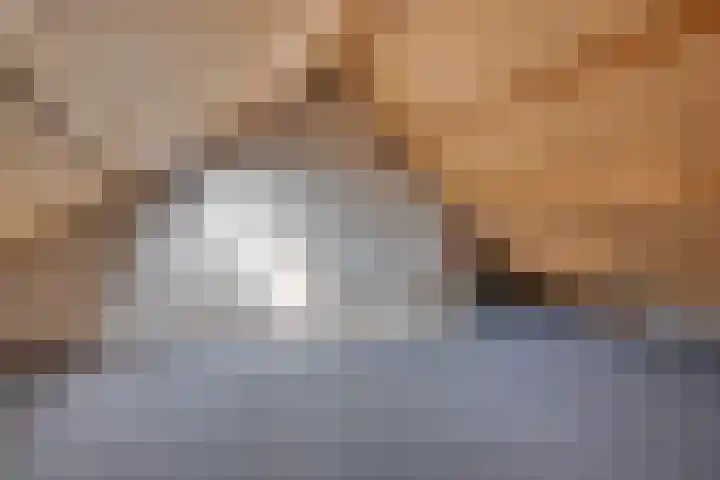 Binnensingel 34 Strijen thumbnail 30