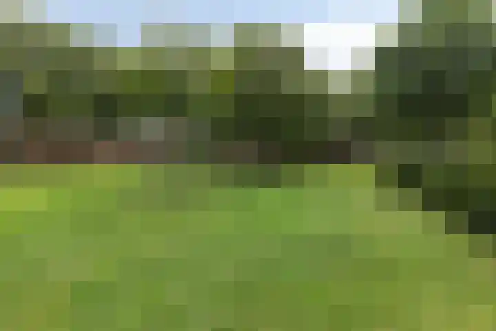 Binnensingel 34 Strijen thumbnail 37